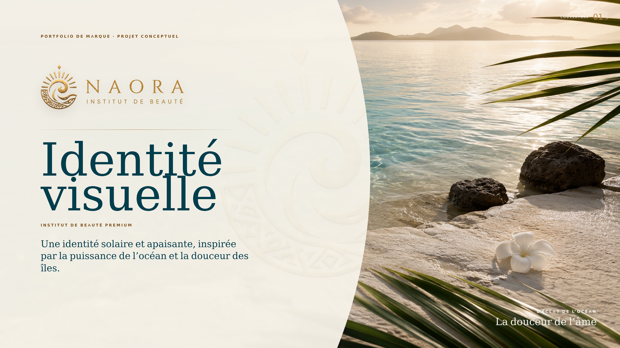 NAORA — vue d’ensemble de l’identité visuelle